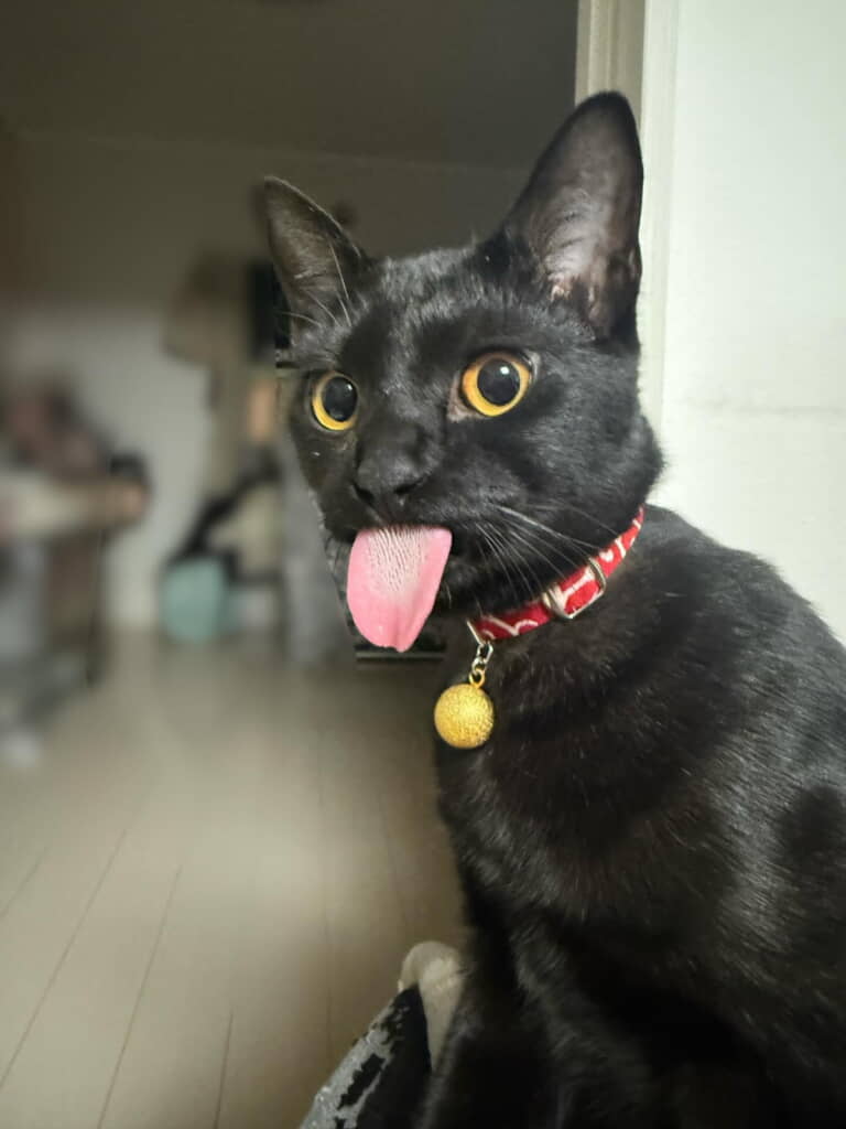 大きな舌がぺローン