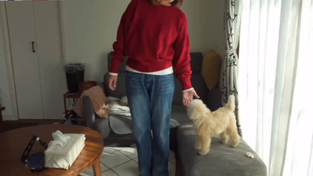 白のソフトリブクルーネックTをチラ見せ