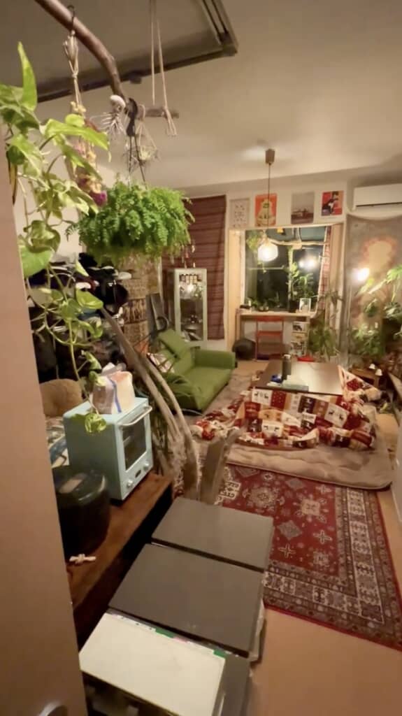 生活必需品の中にも、部屋を彩る観葉植物が