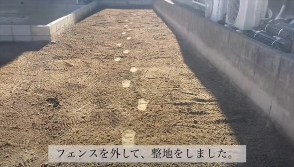 フェンスを外して整地をしました