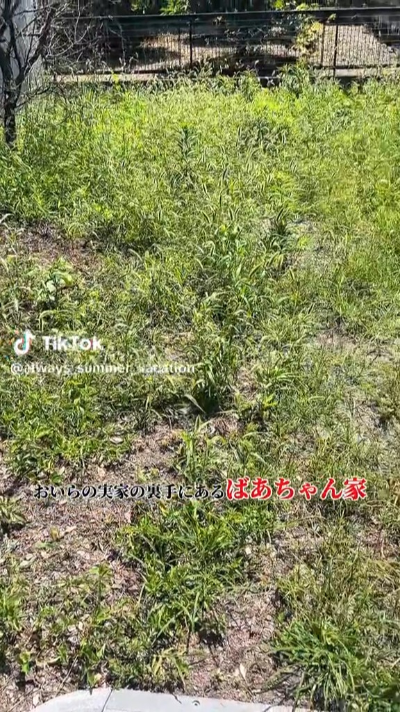 池を作る前のばあちゃん家の庭