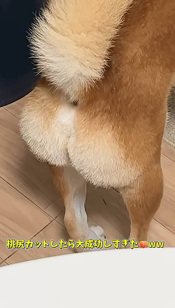 ぷりんぷりんだぁああ!!!!!! 