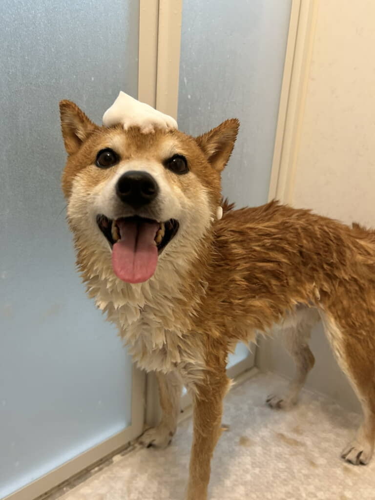 お風呂を頑張った日