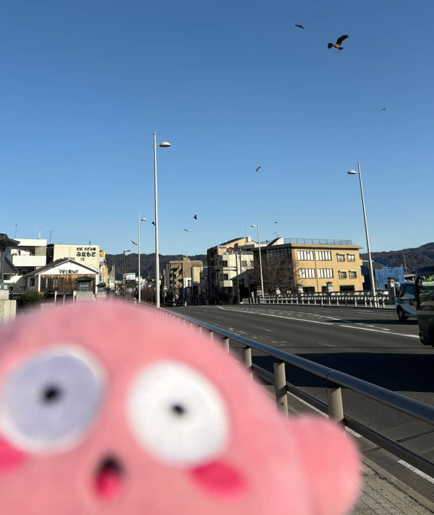 実はトンビに襲われる寸前だった……!?