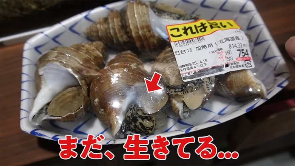生きたツブ貝を購入してきました