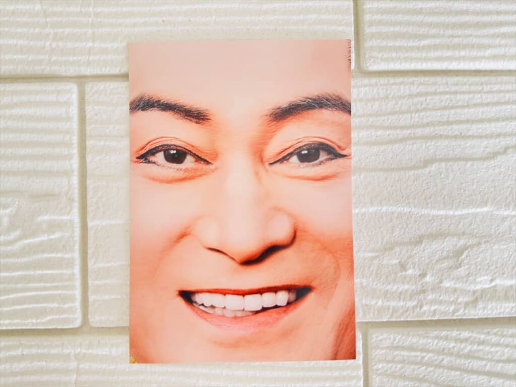 全面にお顔がプリントされたデザイン