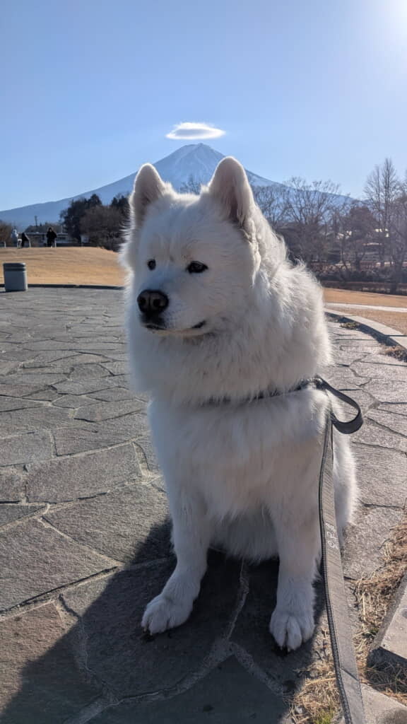 雲がマッチして天使の輪に！