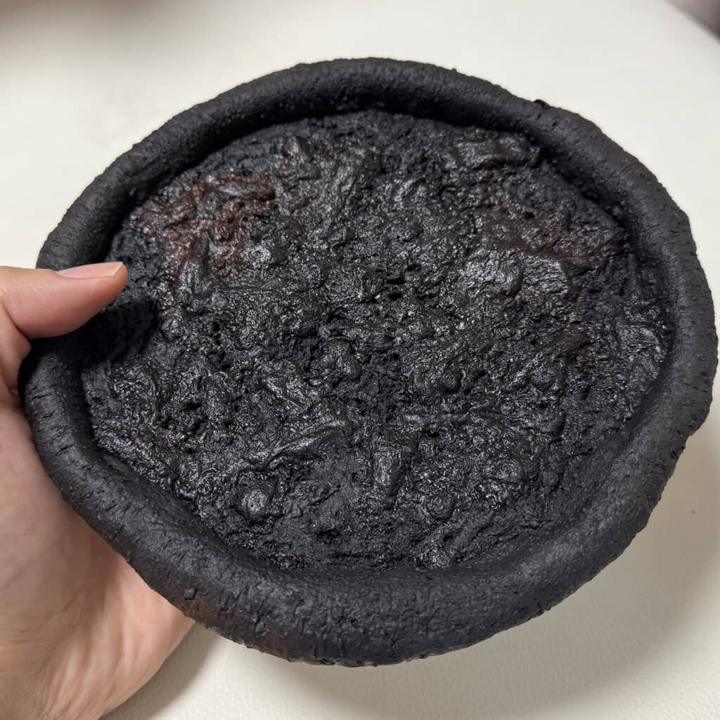 これが……ピザ……？