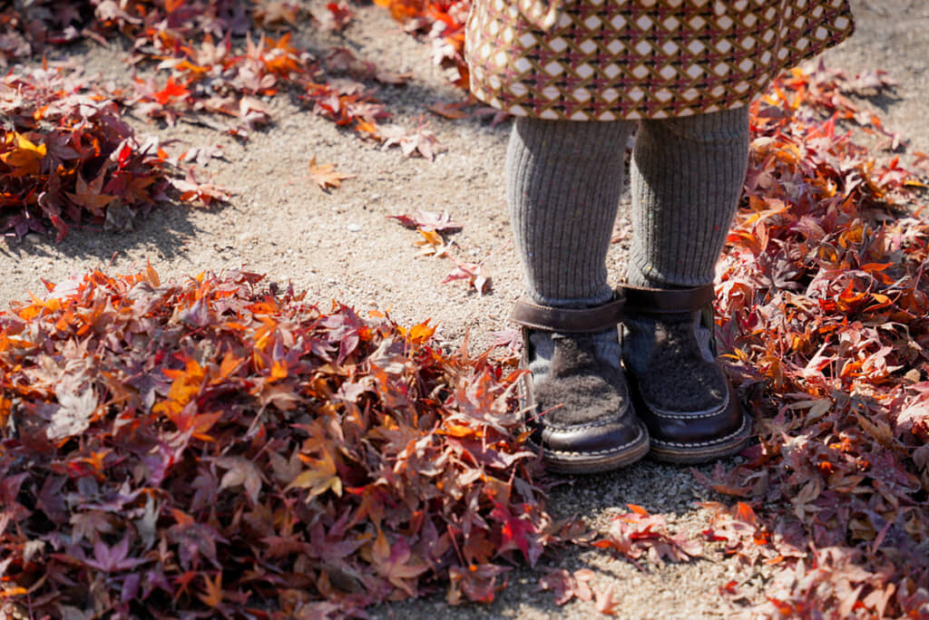 落ち葉がたくさん落ちている季節