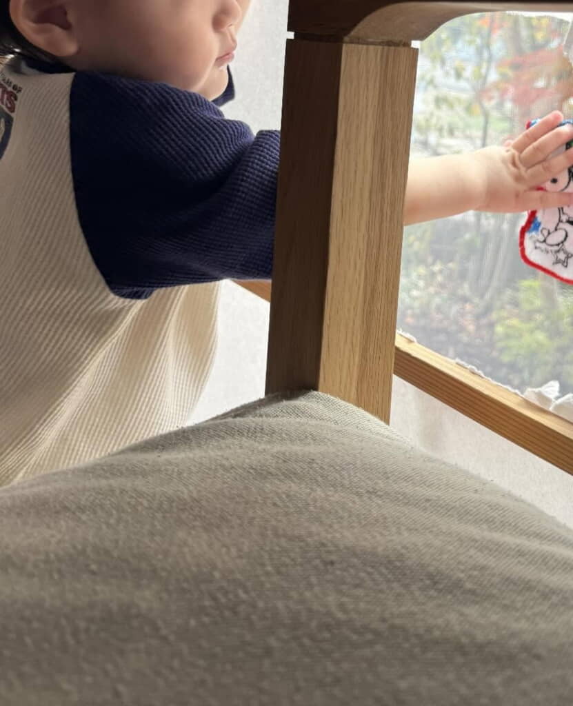 窓をふきふきしてくれています