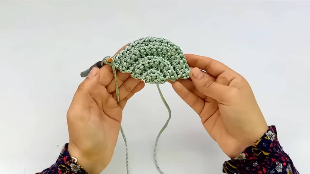 扇状の構造ができてきた