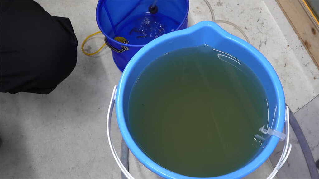 今回使うドブ川の水、いい感じに汚れています