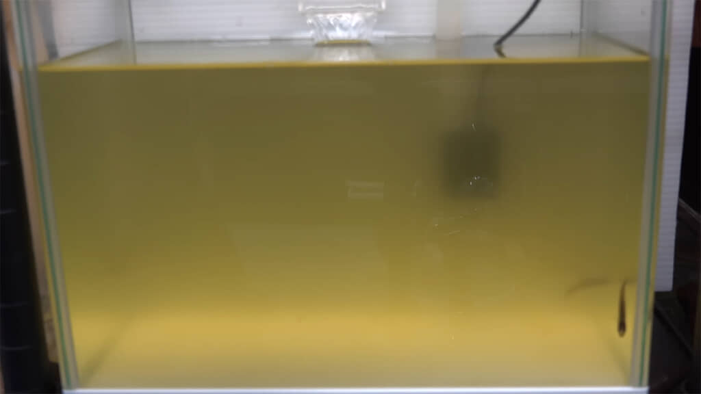 水中ポンプも魚もぼやけて見えます