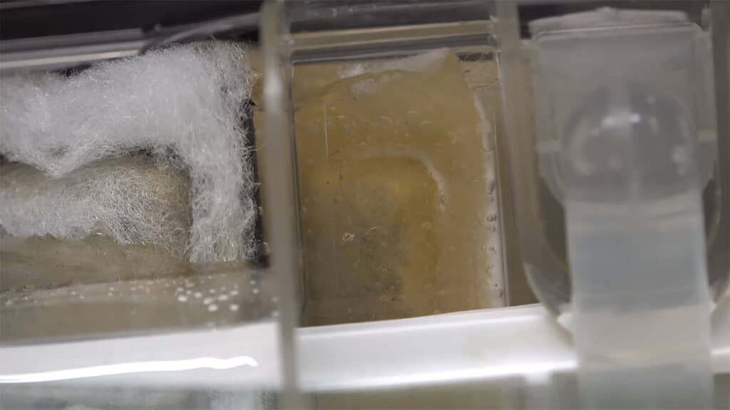 ろ過マットは水と同じ色に染まっていました