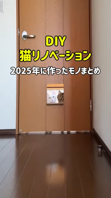 まず作ったのは「猫ドア」