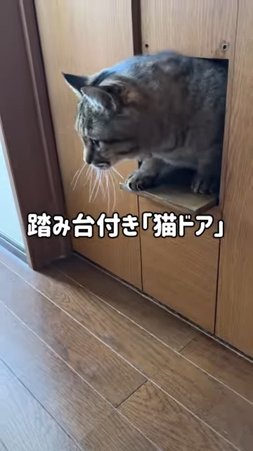 踏み台付きで通り抜けしやすそう