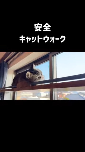 猫ちゃんが寝ぼけても安全