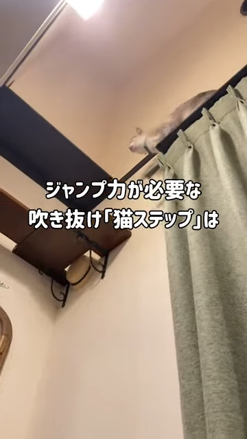 ちょっと距離のある「猫ステップ」は……？
