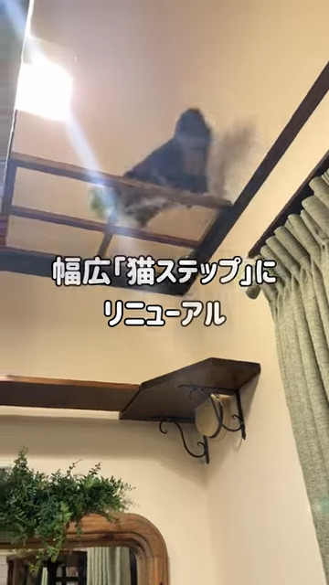 幅を広げてジャンプしやすくなりました！