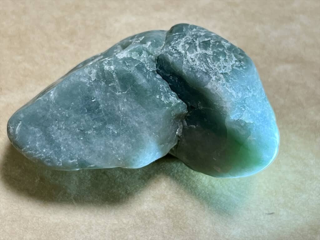 かなりの大物サイズ