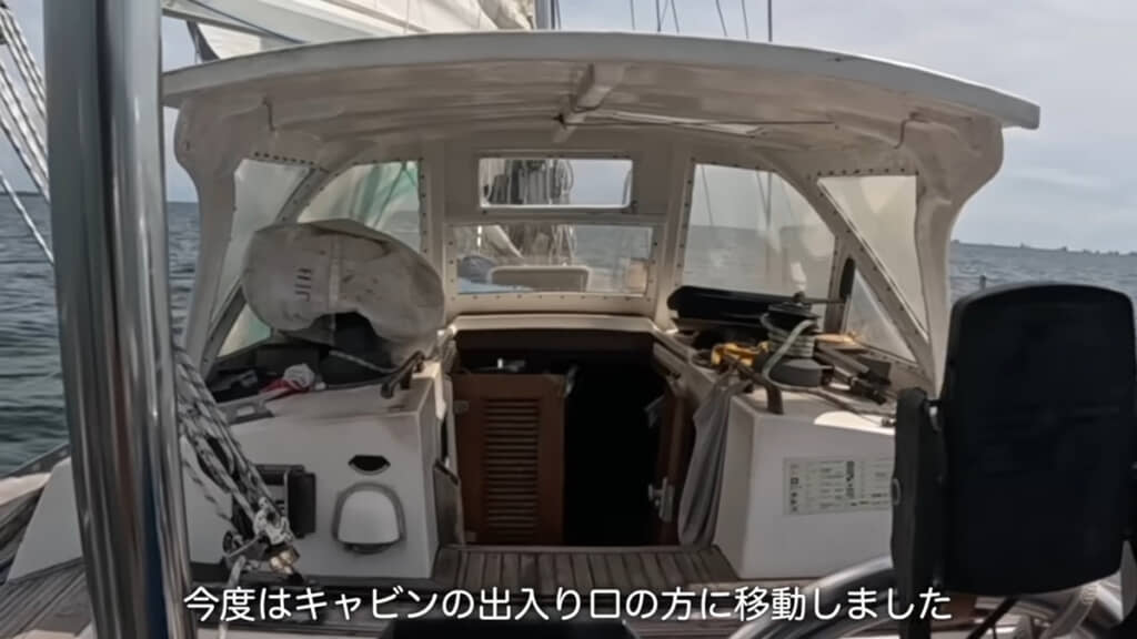 鳥さん「元気になってきたよーっ」