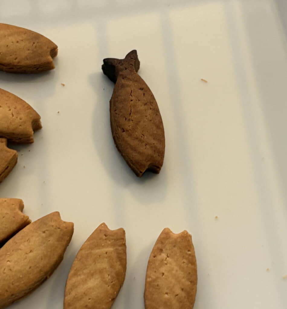 中にはエビフライになった子も