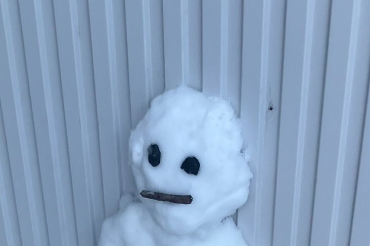 かわいらしい顔をした雪だるまですが……