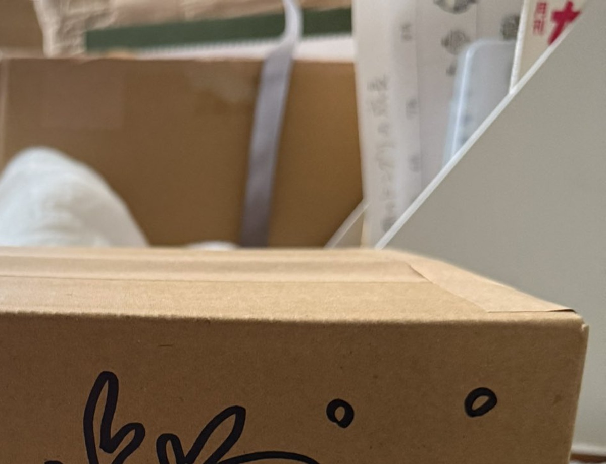 郵便局で荷物を送付→“局員にいつも褒められる”段ボールに描いたラクガキを見ると……　「スゲェ」「こんな箱で届いたら、ゴミに出せない」（1/3） | カルチャー・アート ねとらぼ
