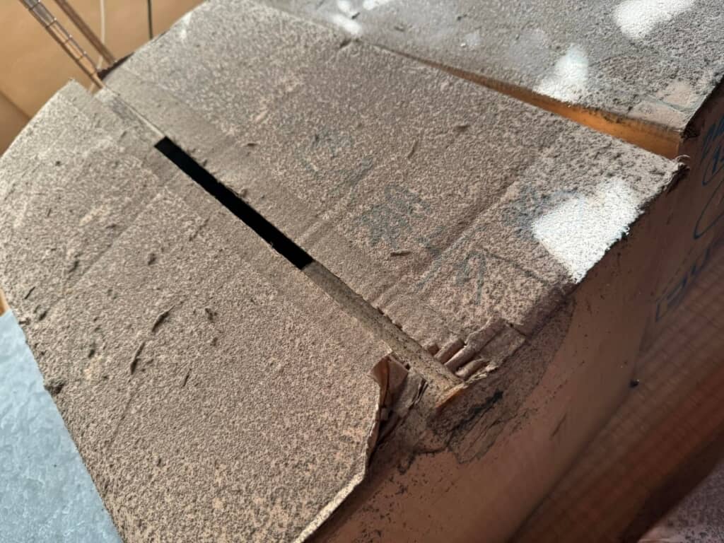 置かれてから時間が経っているのが伝わる1枚