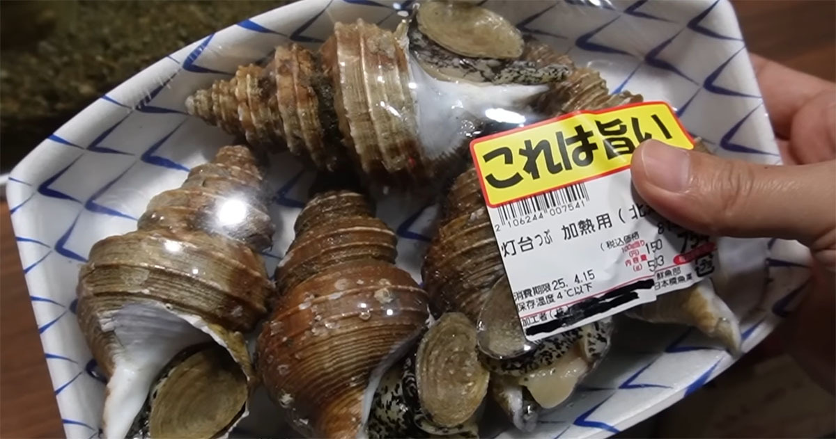 スーパーで見かけた“聞いたことない貝”→水槽に入れて半年後……　まさかの結果に「ええーーっっ!?」「腹筋崩壊した」（1/3） | その他生き物 ねとらぼ