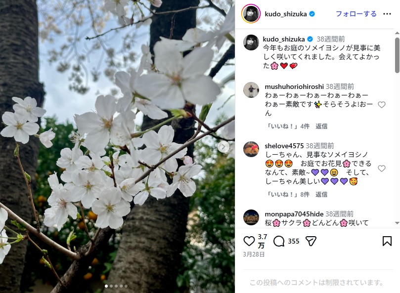 ソメイヨシノが咲いている木村拓哉と工藤静香の自宅の庭