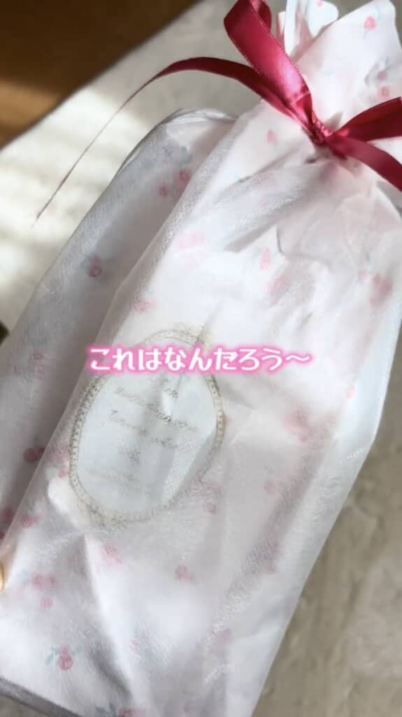 この袋に入っているのは……？