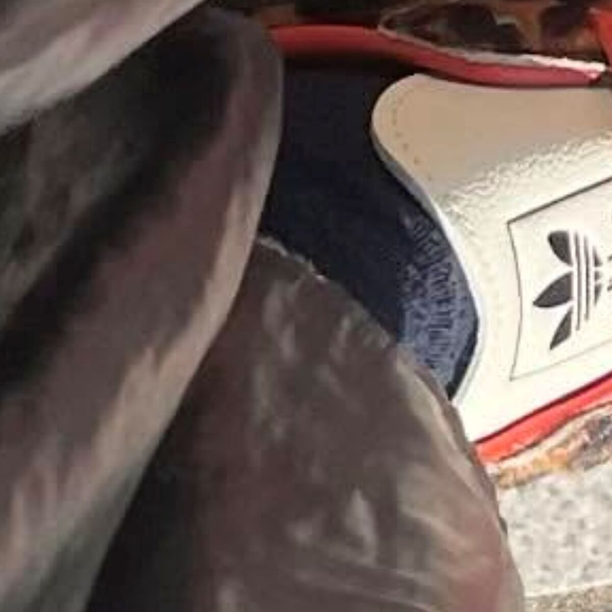 夫に「関西人しか買わんで」と言われるも……　妻が愛用しているスニーカーが「めっちゃいい！」「速攻買いました」 | 女性 ねとらぼ