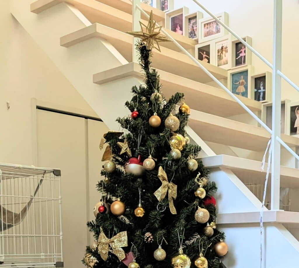 飾り付けしたクリスマスツリーの中に……