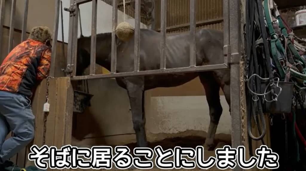 そばに居ることにしました