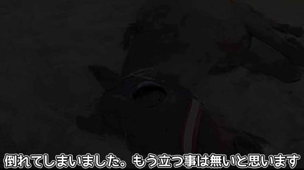 倒れてしまいました