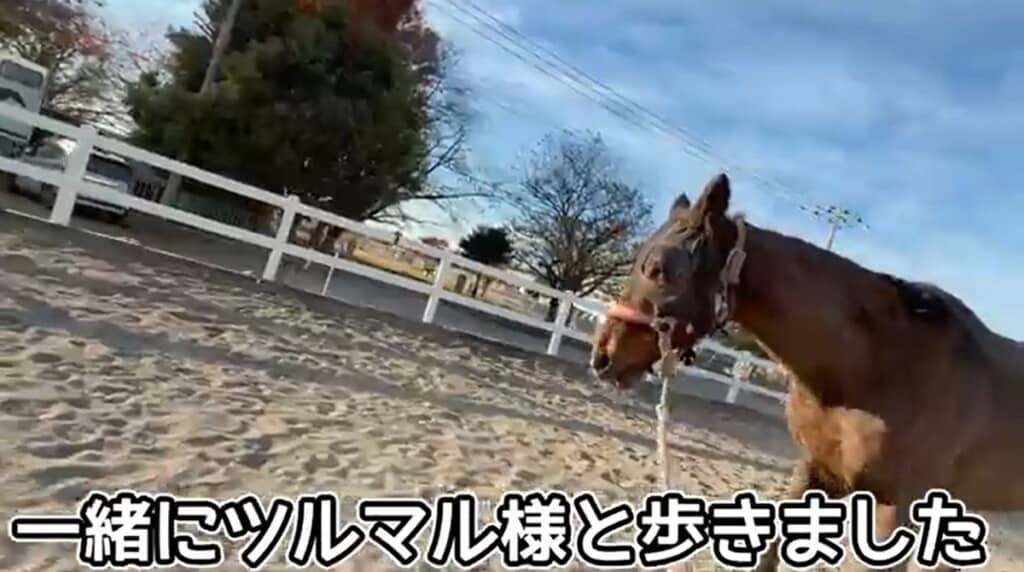 一緒に歩きました