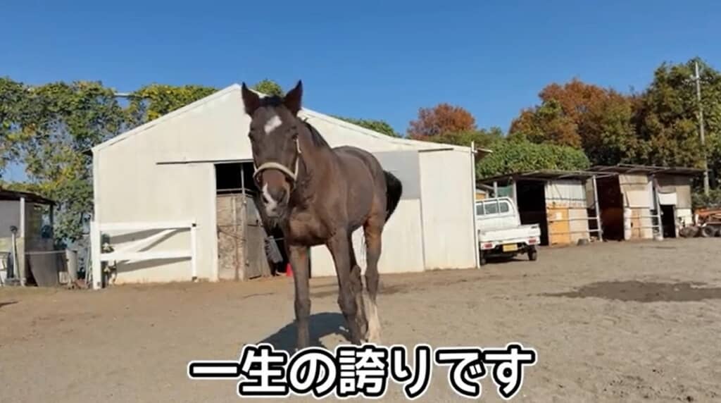 一生の誇りとのこと