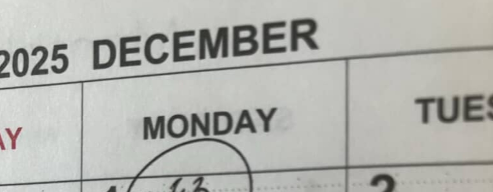 12月の予定を確認しようと手帳を開くと……母「誰か殺したっけ…？」　まさかの光景に「大好きです笑」「夫さんの生存確認を」（1/3） | ライフスタイル ねとらぼ