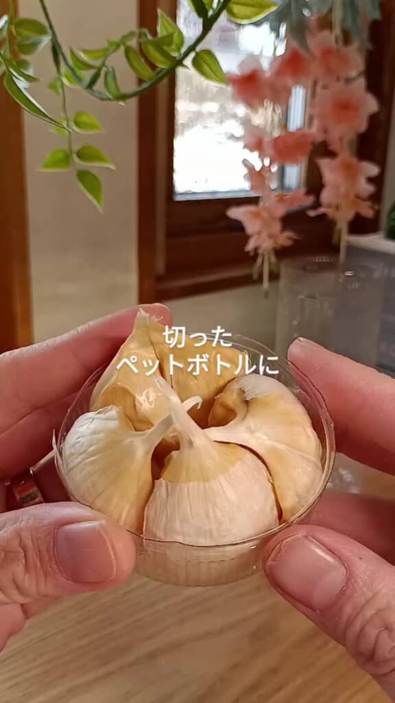 切ったペットボトルを使用