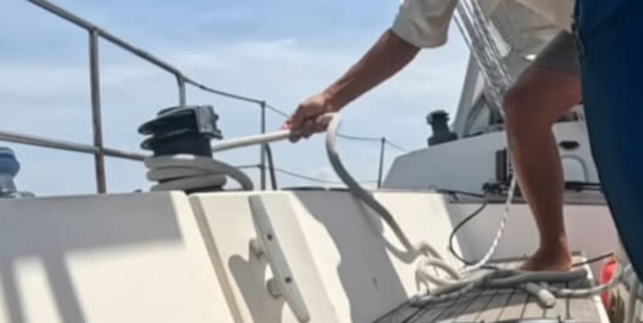 船で生活する夫婦、弱った“まさかの来訪者”に「凄い」　予想外の姿が「お礼言ってますね」「本当にこんな事って有るのですね」と話題（1/3） | その他生き物 ねとらぼ