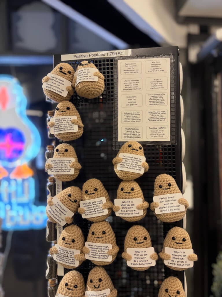 アイスランド・レイキャビクのみやげ物店で購入
