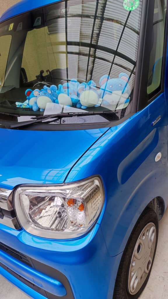 ブルーカラーの車内にもマリルがたくさん！