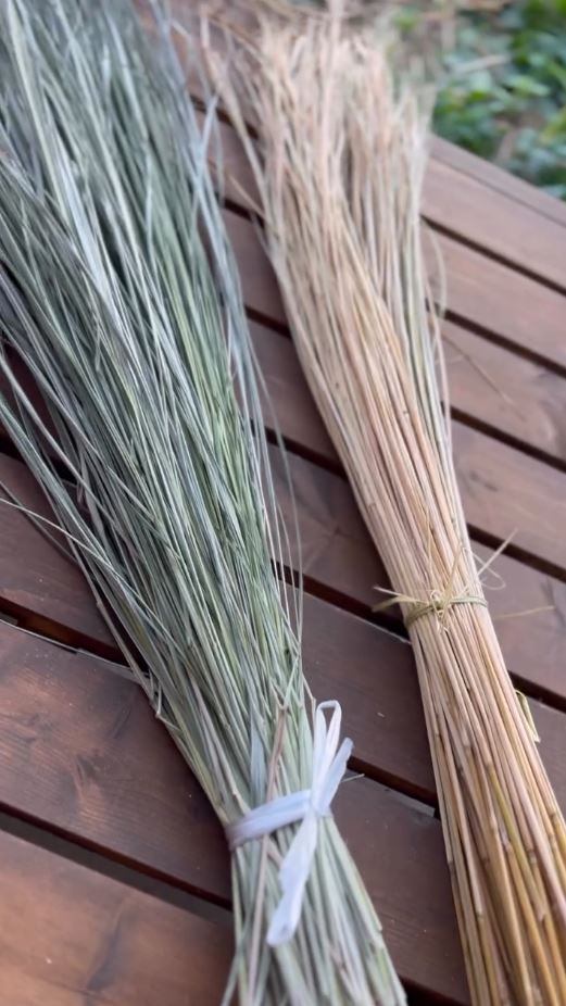 庭に生えている草