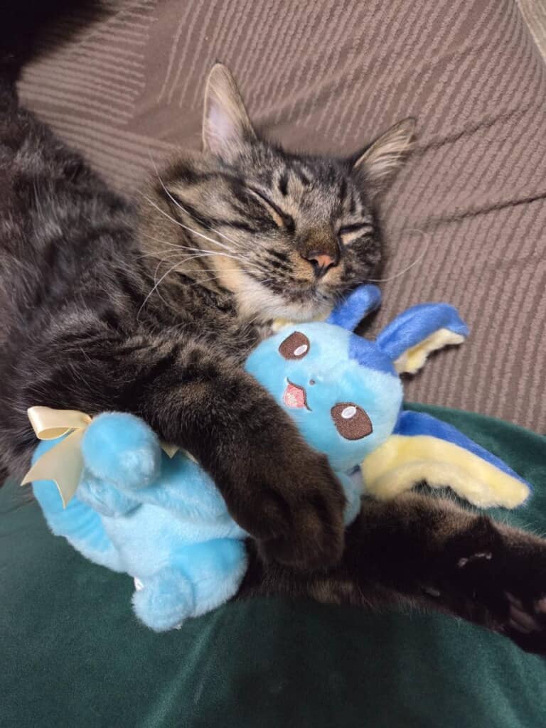 シャワーズを大切そうに抱えて眠る猫ちゃん