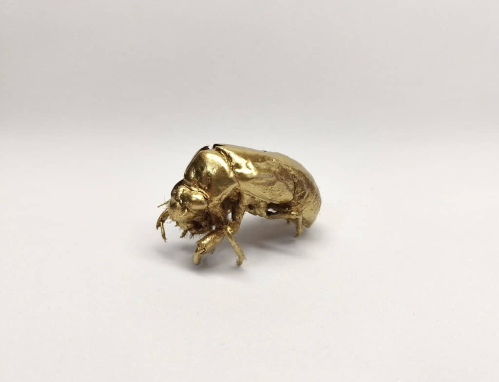 ピラミッドの秘宝めいた神々しい仕上がり