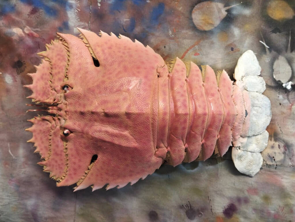 作成中のオオバウチワエビ。斑点を塗るのが大変そう……