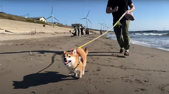 ひまりちゃん楽しそう〜！