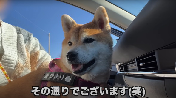 もちろん特等席をキープ