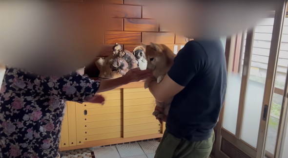 本当の子どものようにかわいがられるひまりちゃんでした◎